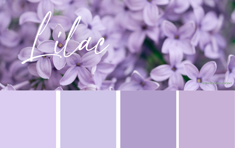 Enchanting Color ~Lilac