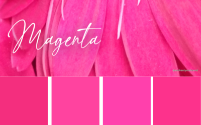 Enchanting Color ~ Magenta